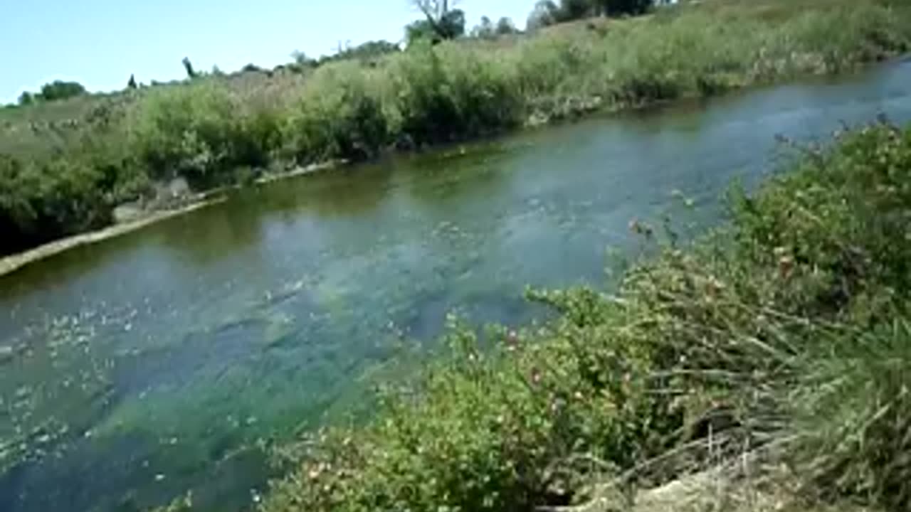 Moss moving under the water and squeaky window makes noise!