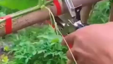 Tapener. A handy device for tying plants