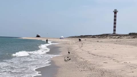 Tratamiento de Praziquantel, Ivermectina y Mebendazol para Parasitos