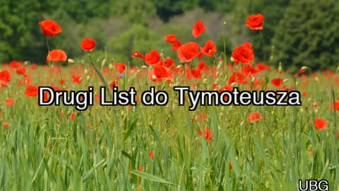 Nowy Testament - 16. UBG - 2 list do Tymoteusza