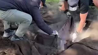 Must Watch: Trying Traditional Māori Home Cooking l Catch & Cook in New Zealand