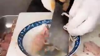 Hardcore Breakfast in Cangzhou! Sheep Intestine Soup — Would You Dare to Try It?