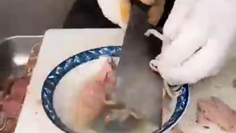 Hardcore Breakfast in Cangzhou! Sheep Intestine Soup — Would You Dare to Try It?