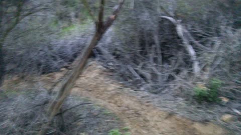 Santa Monica mountain destruction