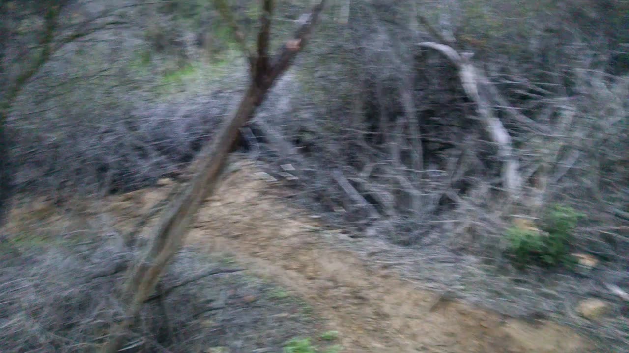Santa Monica mountain destruction