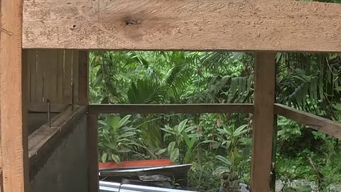 Finally… Getting A Proper Toilet & Shower at the Farm!