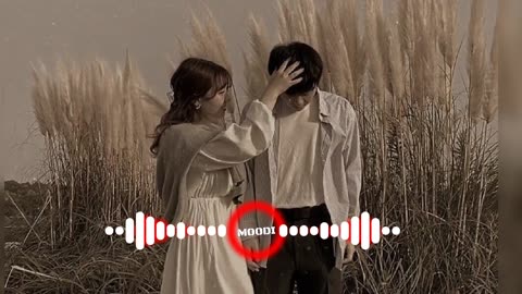 The whole world says "I love you" Song