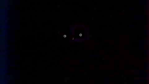 Poppy Playtime Chapter 3 Asset - Catnap and Leith Pierre