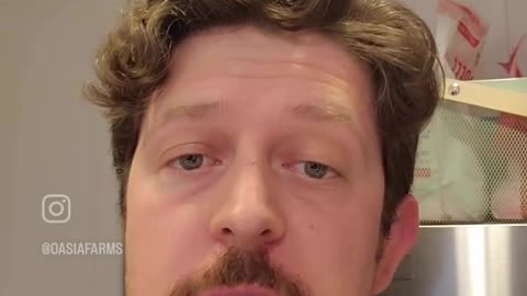 Fresh versus powder Spirulina