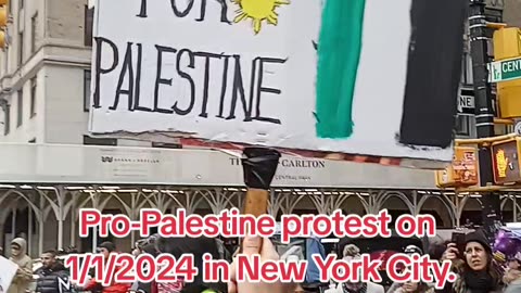 Pro-Palestine protest in New York City on January 1st, 2024.