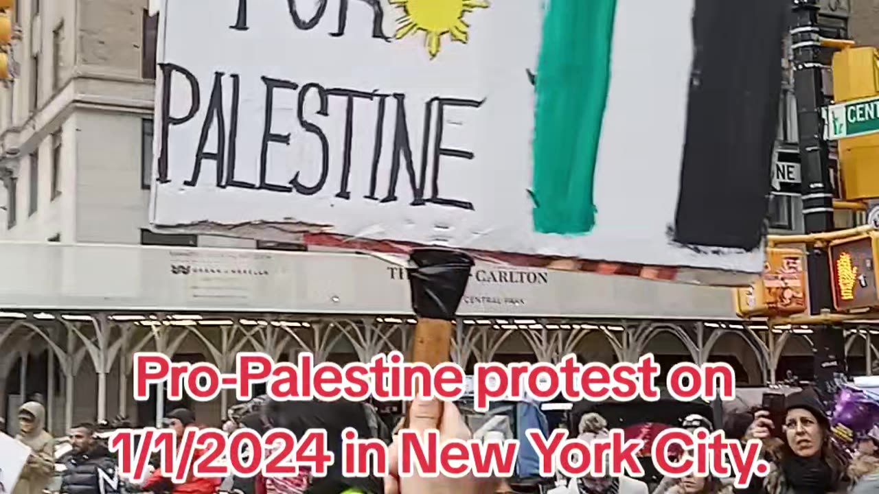 Pro-Palestine protest in New York City on January 1st, 2024.