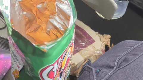 Chester Cheetah Jalapeno Cheese Whirlz Popper Taste Test Fast-Food Restaurant Dessert Review Guy
