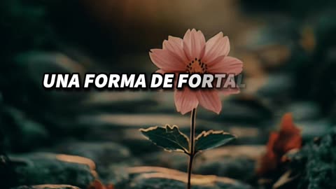 Una nueva oportunidad: camina con fe y gratitud