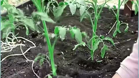 7 Must-Know Tips & Tricks #128 – Unlock Secrets Now! Follow for Daily Power-Ups & Smash Like!