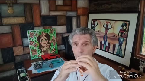 The mechanism of cleansing