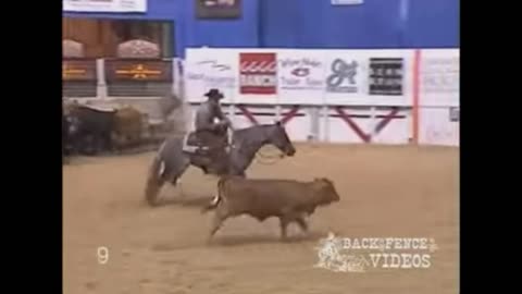 Metallic Cat and His Human Beau Galyean