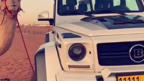 🤔👀 Can You Guess This Luxury Car? | LuxurySportsCars