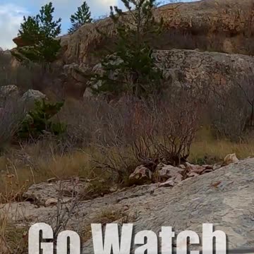 Climbing, in the driver's seat of Traxxas TRX4 Defender! 🔥...part 2