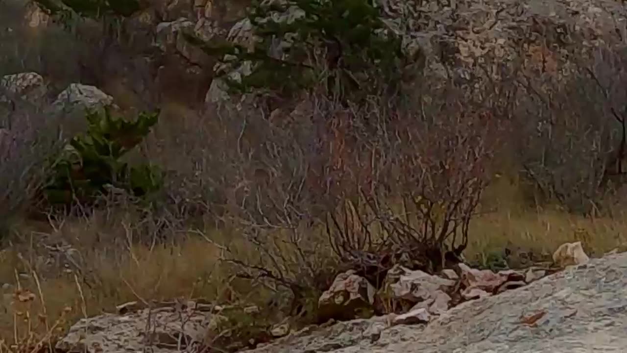 Climbing, in the driver's seat of Traxxas TRX4 Defender! 🔥...part 2