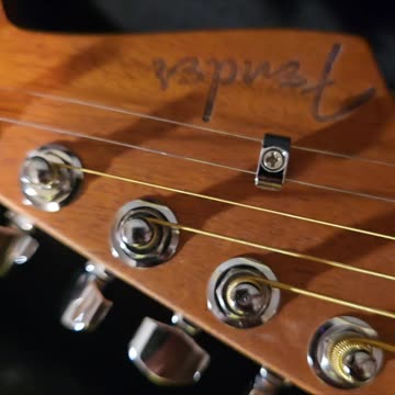 Trent Page Fender Jazzsonic Guitar.