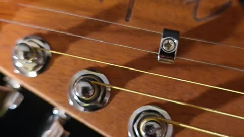 Trent Page Fender Jazzsonic Guitar.