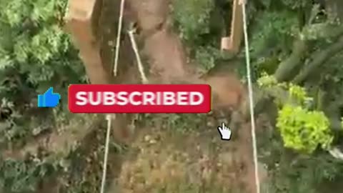 Would You Cross THIS Bridge with No Safety Rope?!
