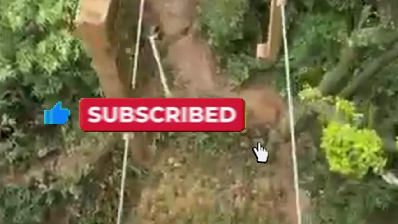 Would You Cross THIS Bridge with No Safety Rope?!