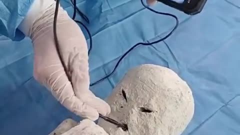 🔍👽 Unveiling the Internals of the Tridactyls' Eye, Nose, and Mouth! | TheTruthAbove
