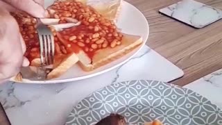 🐭Versión inglesa de 'Stuart Little' con frijoles sobre tostadas
