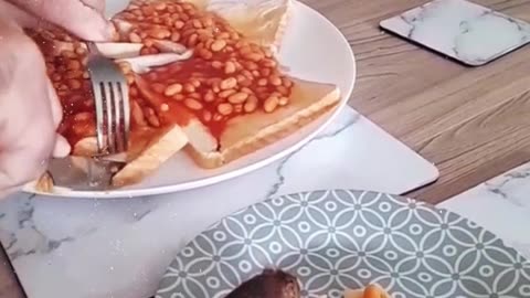 🐭Versión inglesa de 'Stuart Little' con frijoles sobre tostadas