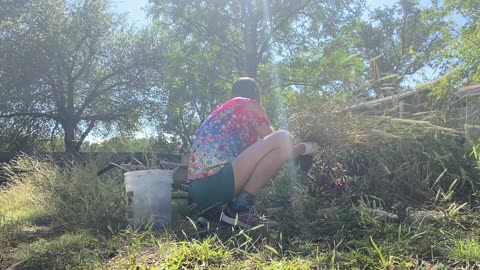 Weed It and Reap: The Great Grass-Pulling Adventure