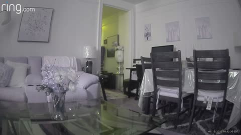 😨📱 Ring Camera Captures Unsettling Sounds in Empty House! | TheHauntingHour