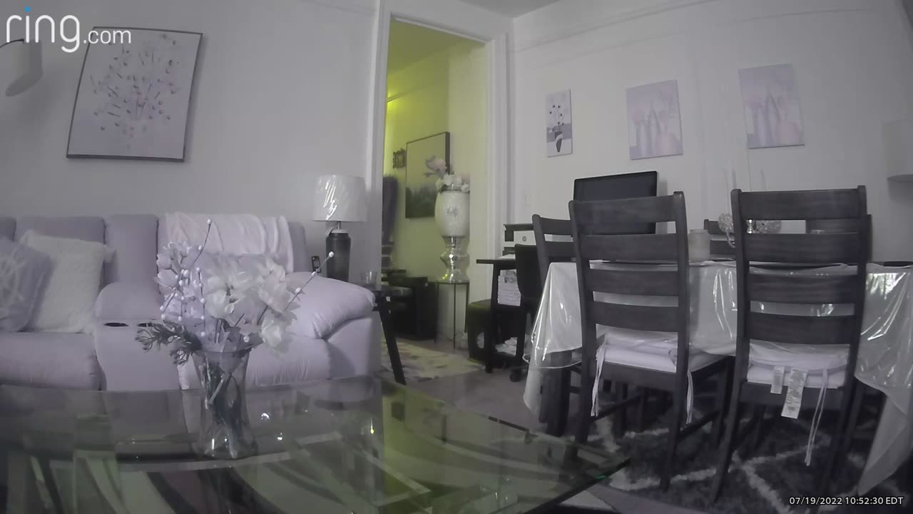 😨📱 Ring Camera Captures Unsettling Sounds in Empty House! | TheHauntingHour