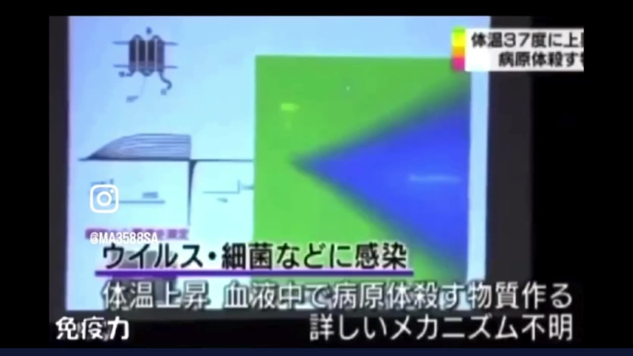 体温37℃で病原体を破壊する