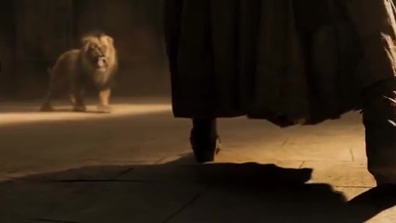 The lion king