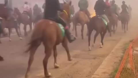 Bucking Horse in the Front of a Horse Raid