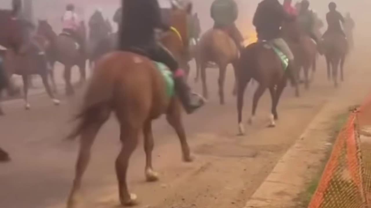 Bucking Horse in the Front of a Horse Raid
