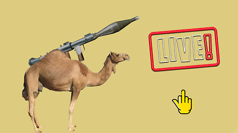 HUMP DAY CIGARS LIVE with the INDUSTRY KILLERS!