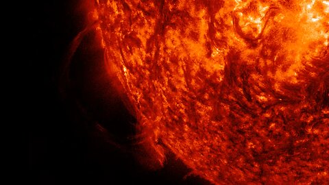 🌞 1-1-2026 crop 🌞