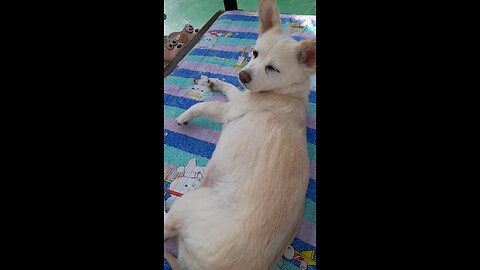 20251024. God Is Love.