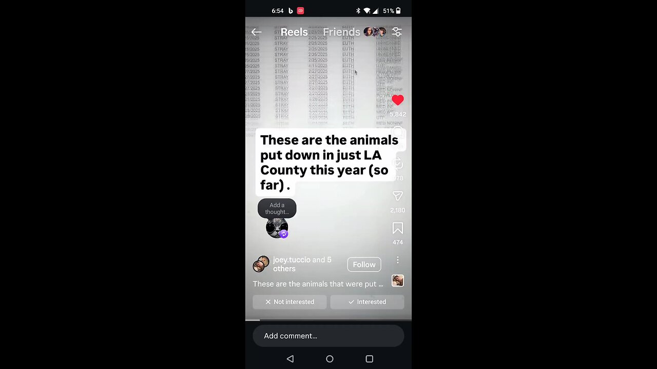 Earth Is Just A Slaughterhouse