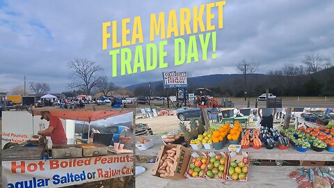 COLLINSVILLE TRADE DAY FLEA MARKET! ONE OF THE LARGEST OUTDOOR MARKETS IN THE SOUTH!
