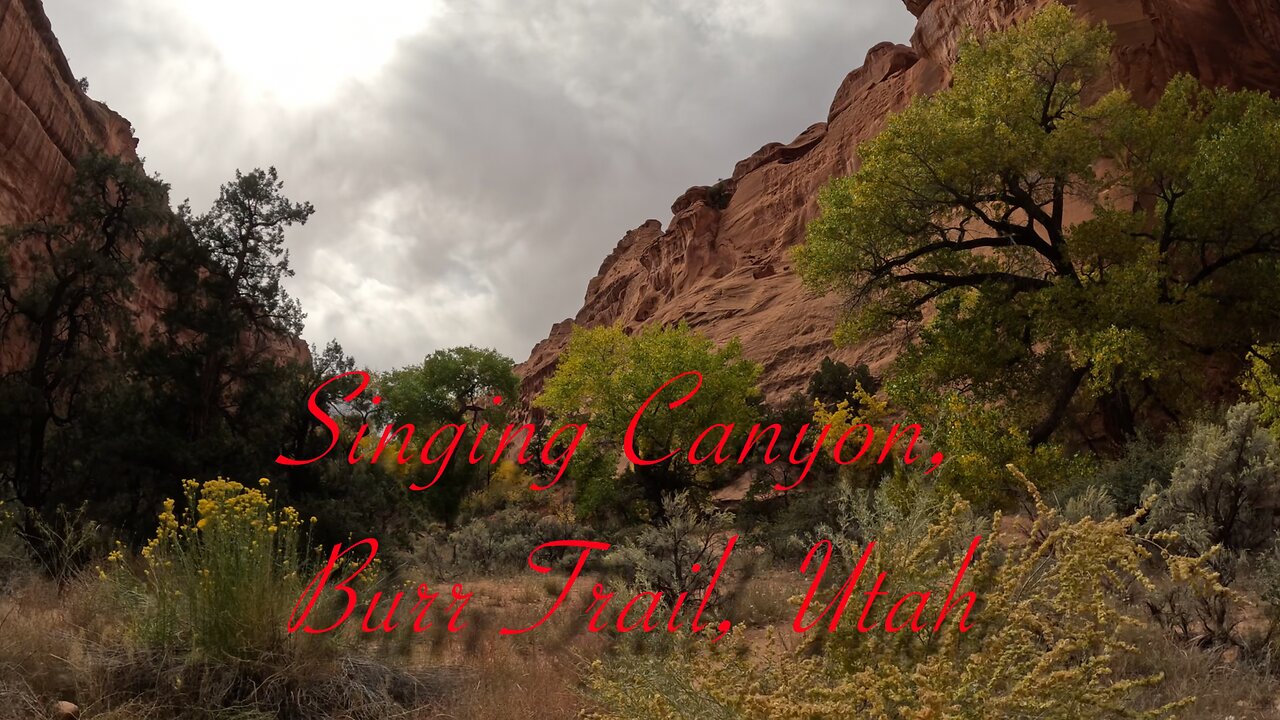 Singing Canyon, Burr Trail Utah