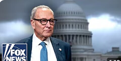 Dems are costing America '$15 BILLION a week, says Trump economic expert