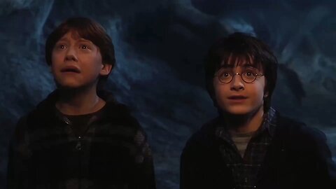 “Harry Potter and the Chamber of Globalists”