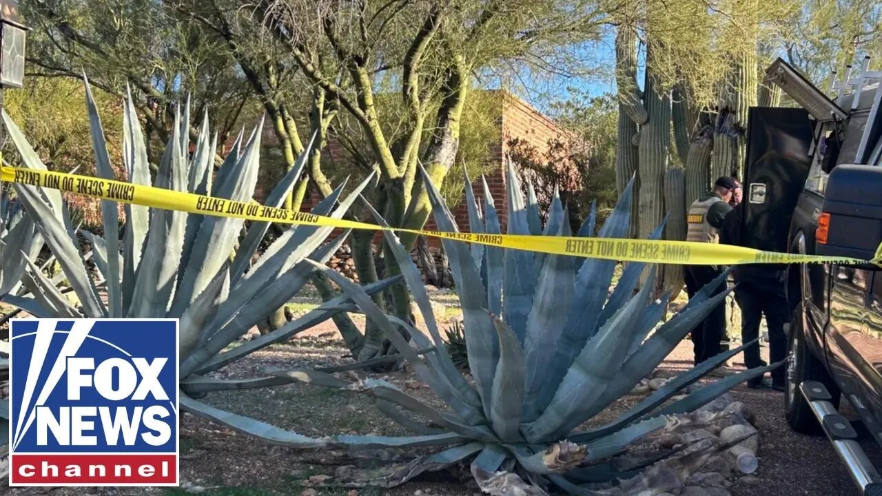 Cyber Expert Flags Chilling 41-Minute Gap in Nancy Guthrie Pacemaker Data