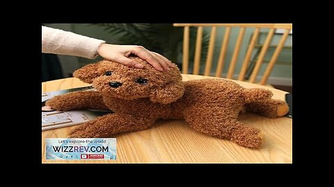 Soft Realistic Teddy Dog Plush Toy Funny Simulation Stuffed Little Puppy Dolls Review