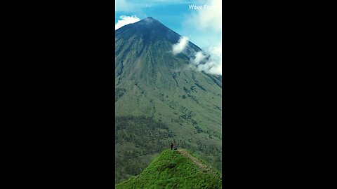 "बारिश के जंगल का रहस्य | Secrets of Costa Rica Rainforest" | #costarica #rainforest #facts #shorts