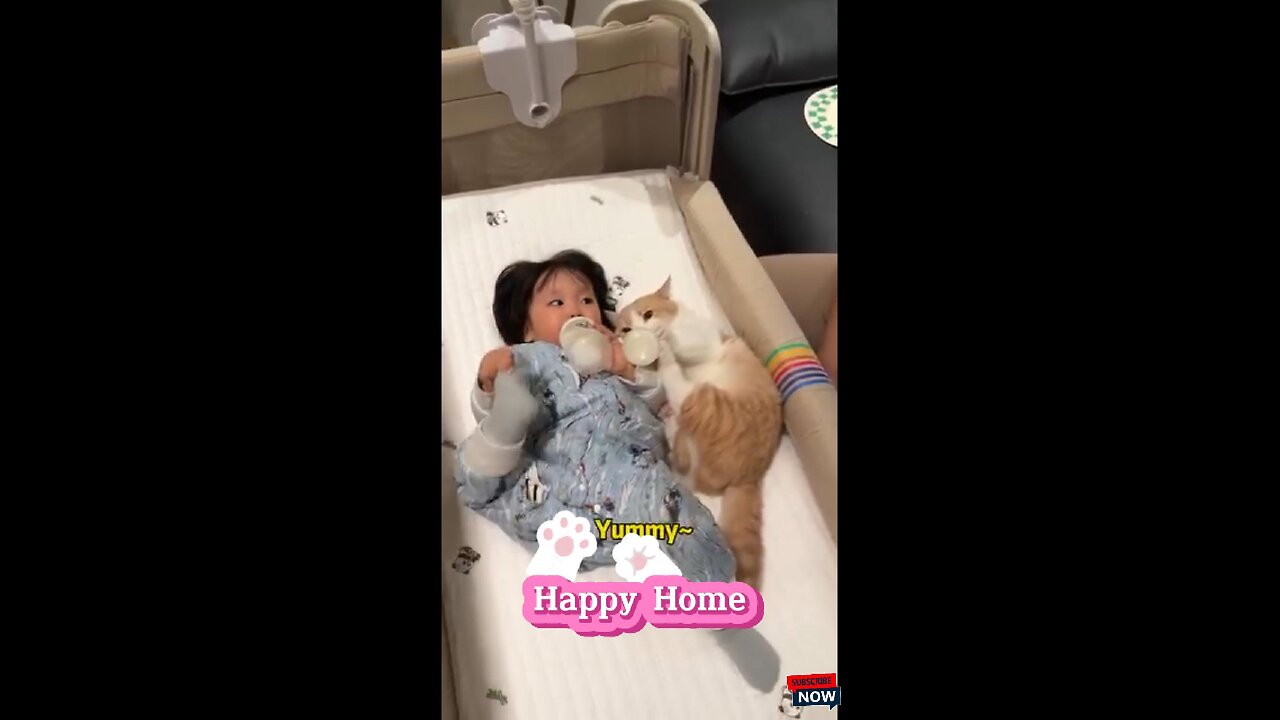 Does a kitten think of itself as a baby 🐱👧🏻💖 #petlover #catvideo #animalshorts