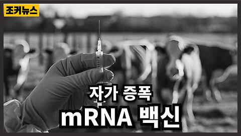 저녁 식탁에 오르는 '자가 증폭 mRNA 백신' - Self-amplifying mRNA vaccines